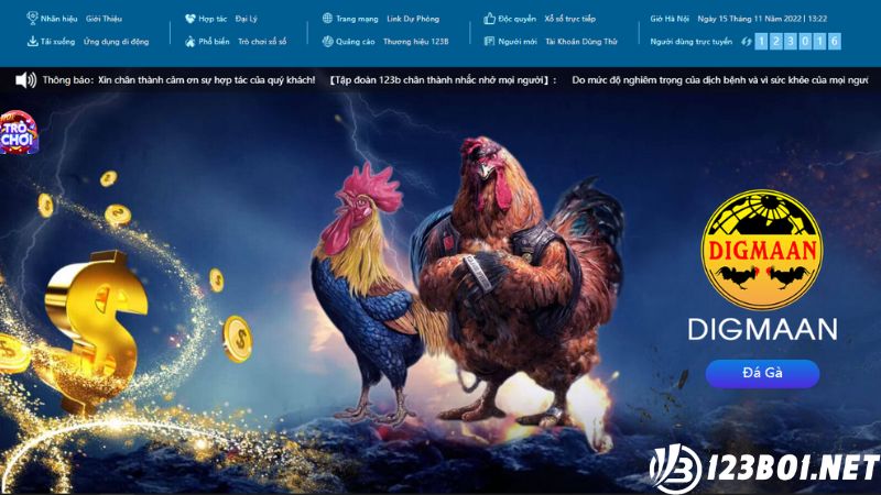 Giới thiệu về sảnh cược đá gà trực tuyến tại 123B03 Casino